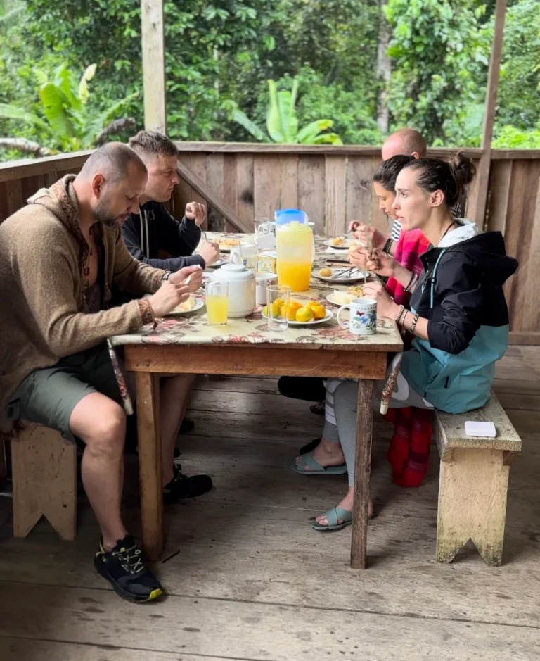 Ayahuasca retreats