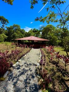 Ayahuasca center